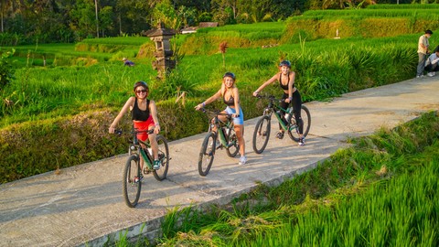 E Bike at Alasan Adventure Bali