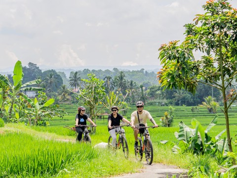 Bali Downhilll Cycling, Marigold Farm, Rice Field & Temple