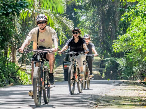 Bali Downhilll Cycling, Marigold Farm, Rice Field & Temple