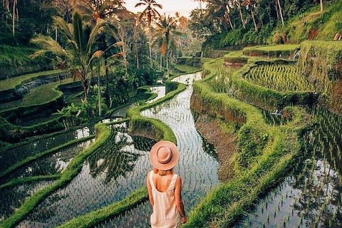Iconic Bali in a Day Lempuyang, Waterfalls, Jungle Swing & Rice Terraces