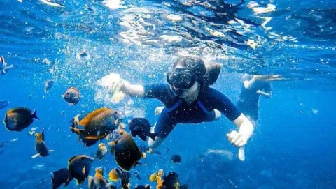 Nusa Penida Snorkeling Tour: Swim with Mantas at 3 Top Spots + Lunch