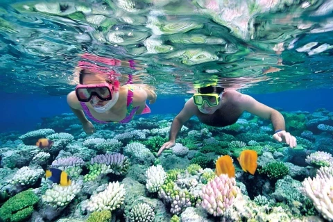 Nusa Penida Snorkeling Tour: Swim with Mantas at 3 Top Spots + Lunch