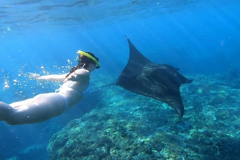 manta bay