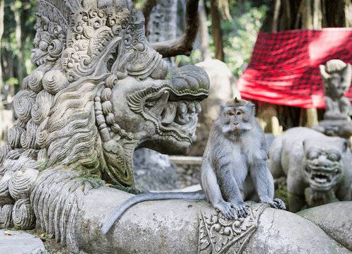 Monkey Forest Ubud Bali