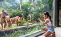 Bali Zoo