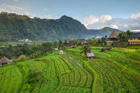 Escaping the Crowd: 5 Serene Bali Retreats for the Ultimate Reset