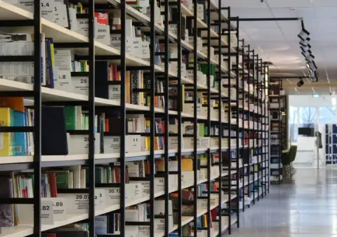 Beyond the Beaches: Discovering Bali's Soul in Its Top 5 Public Libraries