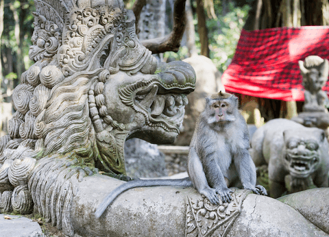 Best of Ubud 1-Day Tour All-Inclusive