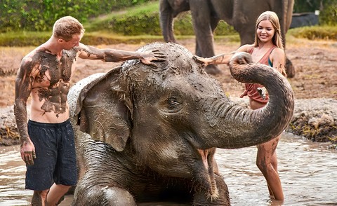 Bali Zoo