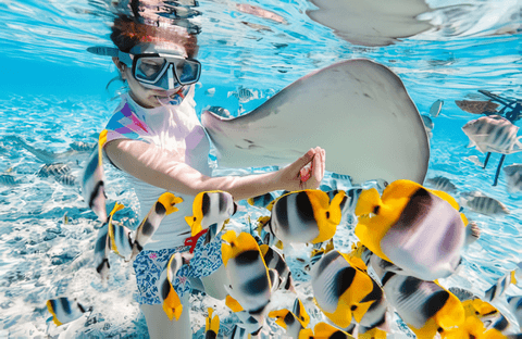 Discover Bali’s Blue Lagoon A Snorkeling Paradise