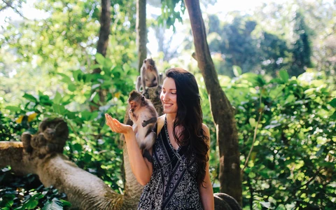 Best of Ubud 1-Day Tour All-Inclusive
