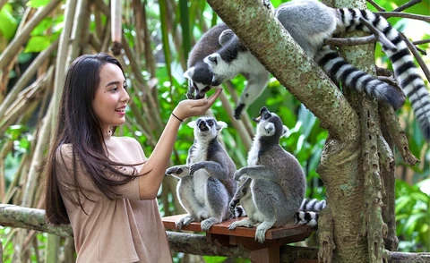 Bali Zoo