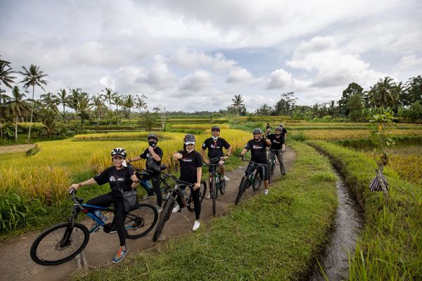 Bali Downhilll Cycling, Marigold Farm, Rice Field & Temple