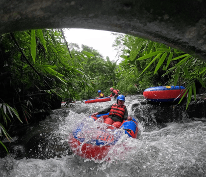 Gekko TUbing Bali