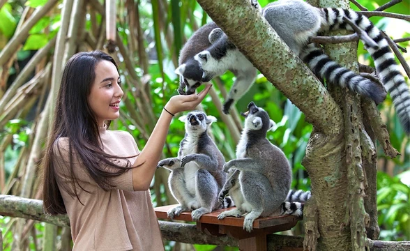 Bali Zoo