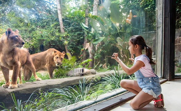 Bali Zoo