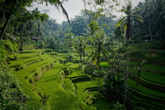 Pura Ulun Danu Beratan lake temple Bali