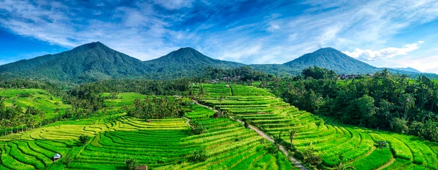 Jatiluwih UNESCO rice terraces panoramic view Bali