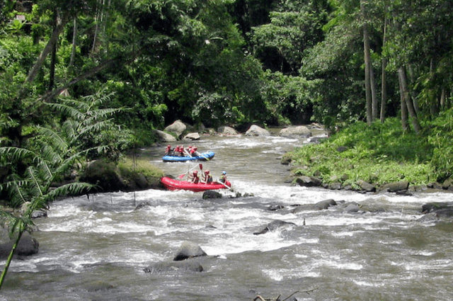 white water rafting ubud bali