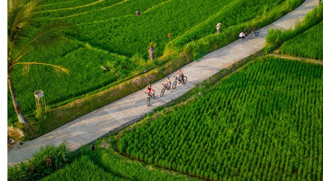 E Bike at Alasan Adventure Bali
