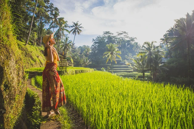 Tegallalang rice terraces ubud bali6