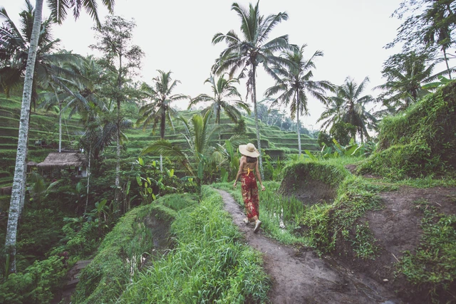 Tegallalang rice terraces ubud bali2