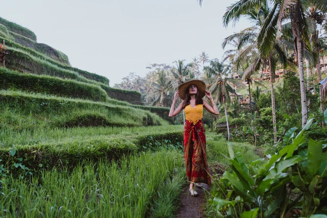 Tegallalang rice terraces ubud bali3