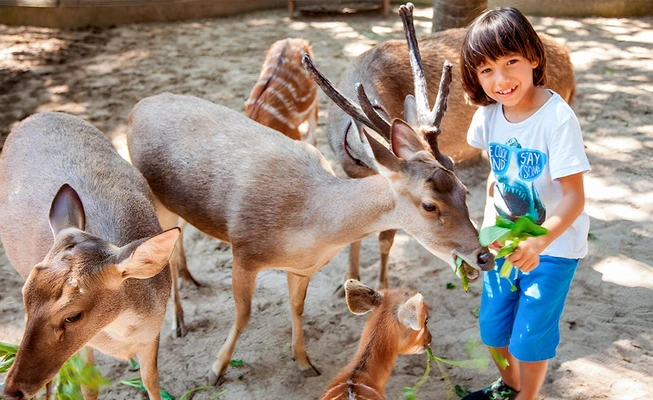 Bali Zoo