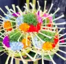 Cultural Encounters: What We Can Learn from Balinese Traditions