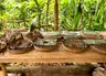 Top 7 Coffee Plantations in Bali for Authentic Tours and Scenic Experiences
