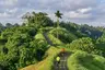 5 Best Jogging Tracks in Bali for Nature Lovers and Casual Runners