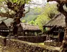Tenganan Village: A Preserved Bali Aga Heritage