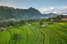 Escaping the Crowd: 5 Serene Bali Retreats for the Ultimate Reset