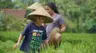 Learning to Farm and Plant Rice: A Soulful Family Adventure in the Heart of Ubud