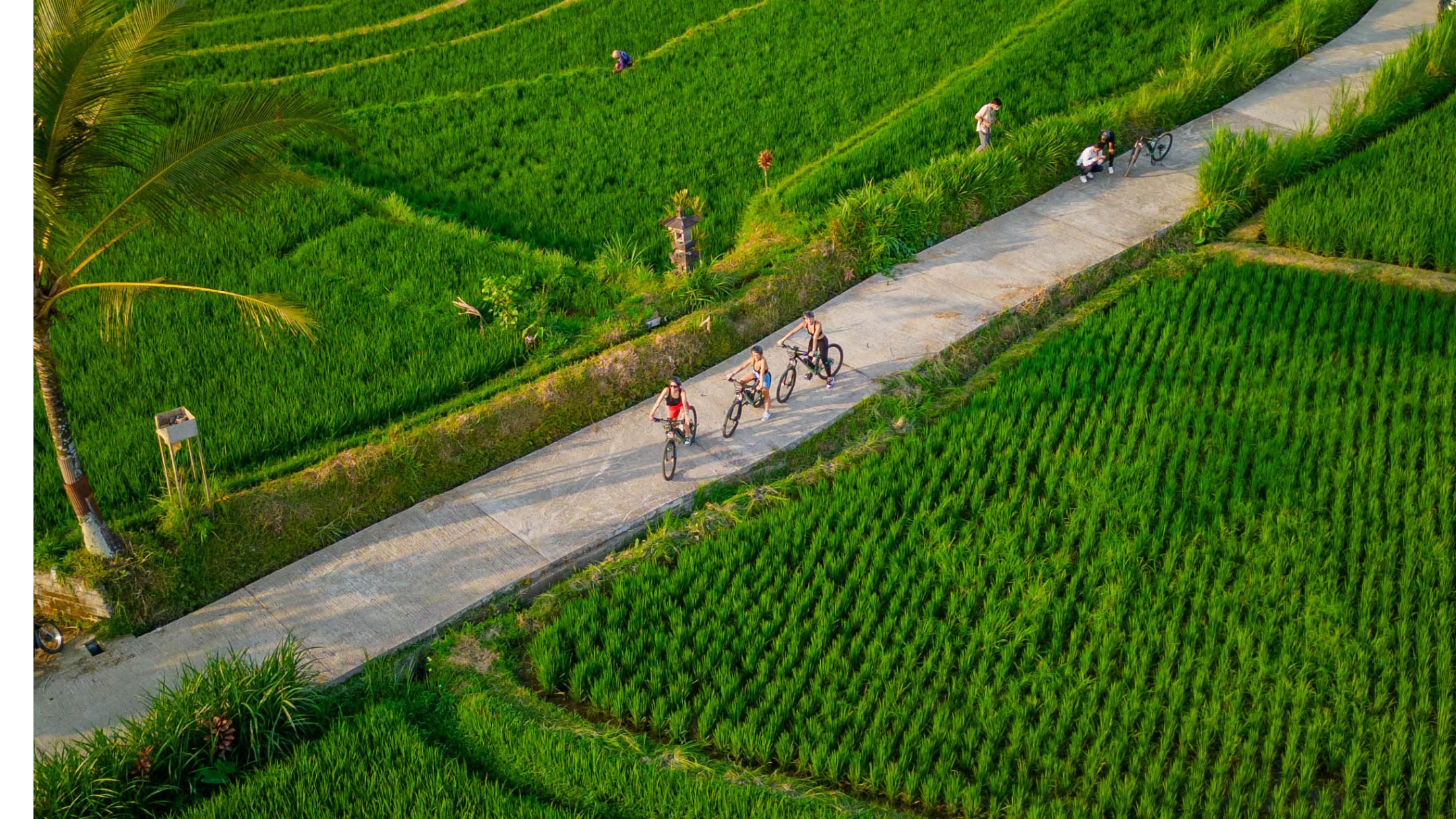 E Bike at Alasan Adventure Bali
